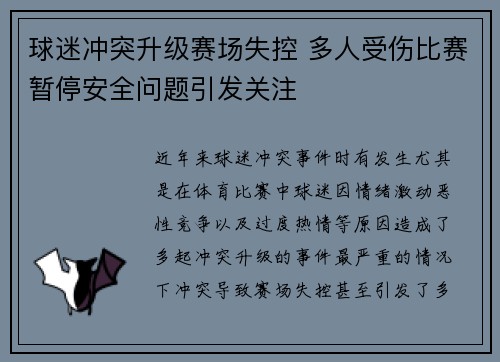 球迷冲突升级赛场失控 多人受伤比赛暂停安全问题引发关注